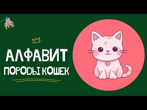 Видео: АЛФАВИТ - ПОРОДЫ КОШЕК