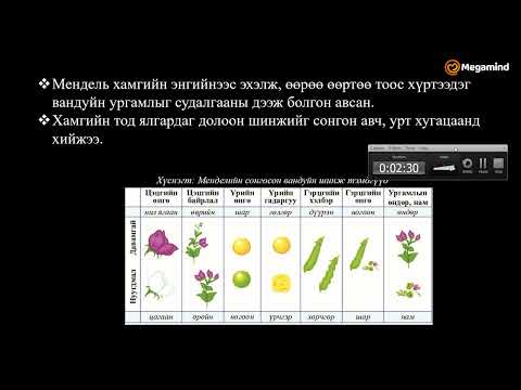 Видео: Биологи №35 Удамшил, хувьсал, шалгарал I
