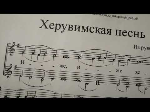 Видео: ВЕЛИКОЛЕПНАЯ Для женского состава.Альт 1 и 2."Херувимская" Из рукописных нот. По просьбе подписчицы.