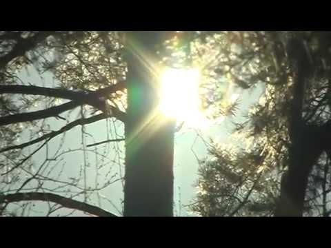 Видео: ДЕНИС МАЙДАНОВ. Территория сердца