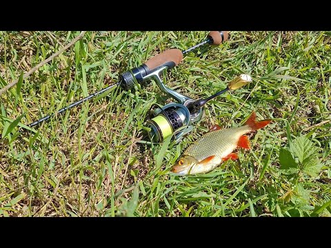 Видео: НАШЁЛ ЛУЖУ ПОЛНУЮ РЫБЫ!!! ОГРОМНЫЕ КРАСНОПЕРКИ НА МОРМЫШКУ! #мормышинг Мормышинг