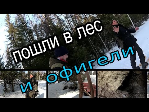 Видео: Пошли в лес и офигели.