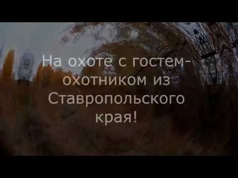 Видео: Начало сезона,  охоты с гончими!