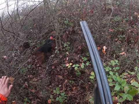 Видео: 17 ноември 2019 г.