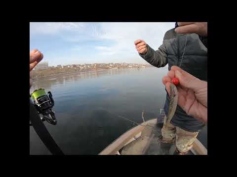 Видео: Ловля судака на спиннинг Graphiteleader Tiro MR GOMTS-812MH-MR 10-42gr работа по верхнему тесту