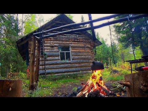 Видео: Остановились на ночлег в таёжной избе. В этой реке рыба сама запрыгивает в лодку. Рыбалка на севере.