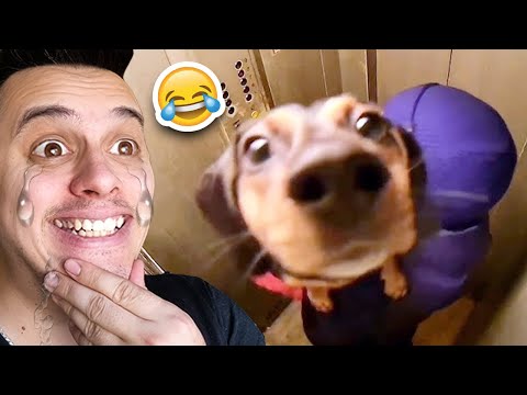 Видео: Брутални СКРИТИ КАМЕРИ...🤣 *СМЯХ*