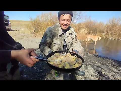 Видео: Керемет саятшылық болды