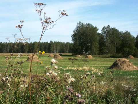 Видео: Марко коси трева детелина - Борка Тричкова