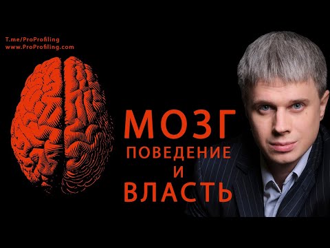 Видео: Мозг, поведение и власть. Как власть влияет на мозг.