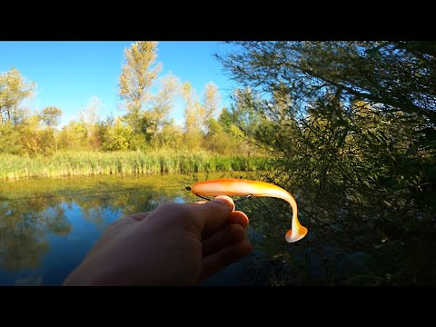 Видео: ПРИМАНКИ ЯКІ КОСЯТЬ ВСЮ ЩУКУ! Ловля ЩУКИ. Рибалка на СПІНІНГ в ЖОВТНІ
