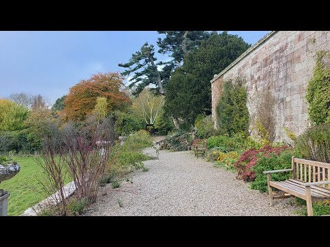 Видео: Воскресенье.  Ноябрь 