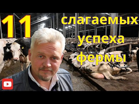 Видео: Предсказываем будущее: 11 слагаемых успешной молочной фермы