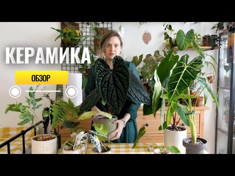 Видео: Керамика. Как нас подставил Китай