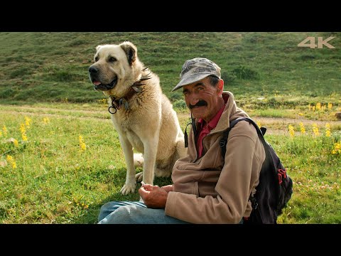 Видео: Одинокая Жизнь – Часть 3 | Документальный Фильм