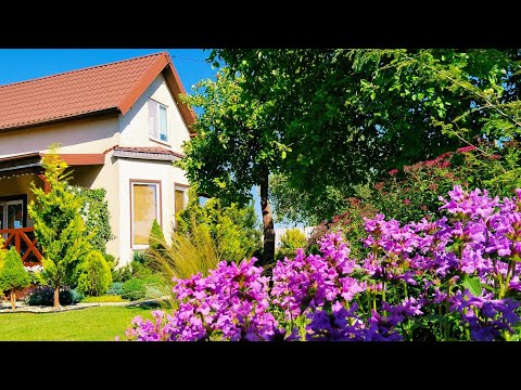 Видео: Деревенский Дом и Сад🌿🏠 Воплощение Задумок жены Руками мужа #деревенскийдом #сад #garden