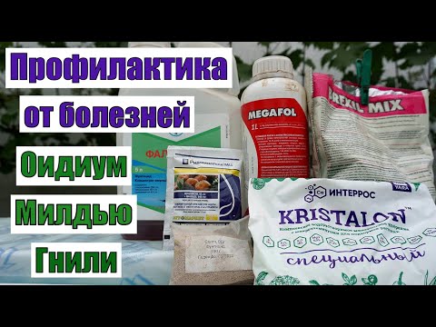 Видео: Профилактическая обработка винограда в открытом грунте.