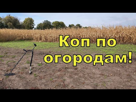 Видео: Сезон огородов в разгаре! Коп с Quasar F3! Фильм 170