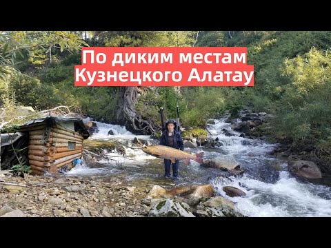 Видео: Звериными тропами Кузнецкого Алатау
