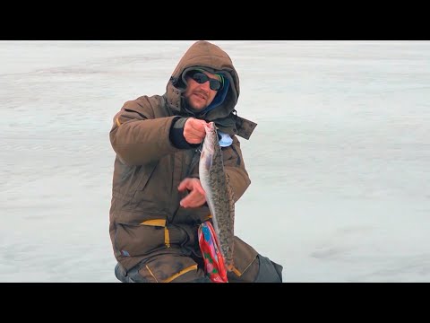 Видео: Судак со льда. Охота на клыкастого в устьях заливов