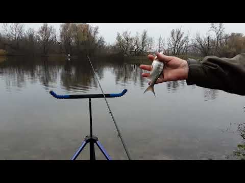 Видео: Оріль  Закриття сезону 2025