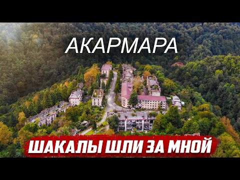 Видео: Ночью с шакалами в лесу | Абхазия - Акармара
