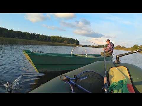 Видео: ПОДПЛЫЛ К РЫБАКУ И ПОТЕРЯЛ ДАР РЕЧИ ОТ УВИДЕННОГО. Рыбалка на спиннинг