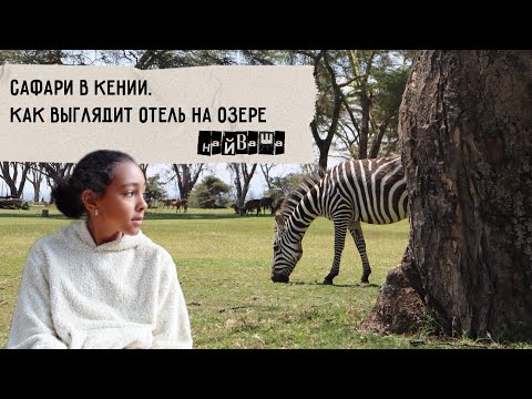 Видео: Популярное туристическое направление в Кении | Смотрим лодж на озере