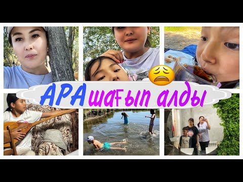 Видео: АРА ШАҒЫП АЛДЫ😫/БЛОГЕРДІ КҮТТІ🤪#влог #казакша