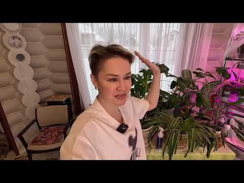 Видео: ПЕРВЫЙ ОБЗОР СТЕЛЛАЖЕЙ С РАССАДОЙ В 2025 ГОДУ