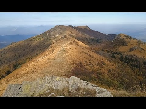 Видео: Семиглавая 2022. (2 часть)