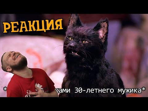 Видео: Если бы кошки могли говорить. Кот Сэлем, обычный домашний кот (Переозвучка) | РЕАКЦИЯ НА TheNafig