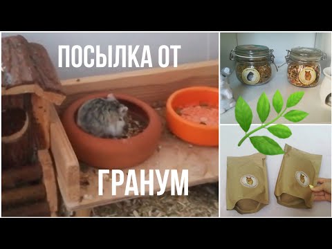 Видео: ПОСЫЛКА ДЛЯ ХОМЯКОВ 🐹 || ОБЗОР НА МЕШАНИНУ ГРАНУМ ✨🌿