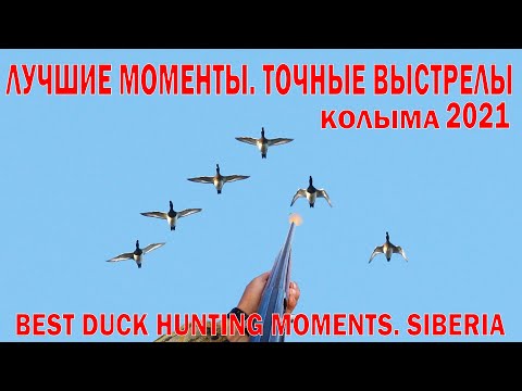 Видео: ЛУЧШИЕ МОМЕНТЫ ОХОТЫ НА УТКУ 2021.ТОЛЬКО ВЫСТРЕЛЫ. BEST DUCK HUNTING MOMENTS 2021.ONLY SHOTS