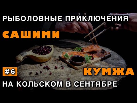 Видео: САШИМИ из КУМЖИ Поймал и Приготовил Дикую Форель | РЫБАЛКА на КОЛЬСКОМ Полуострове | НОЖ для ЛЕСА