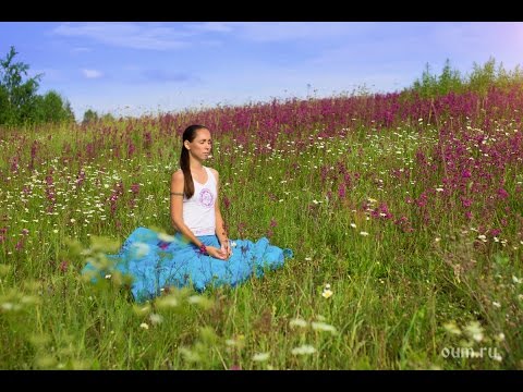 Видео: Йога для женщин. Мягкая практика хатха-йоги. Упражнения для женщин. Екатерина Андросова