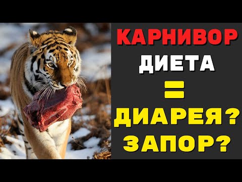 Видео: Запор и диарея - два бича карнивор-диеты