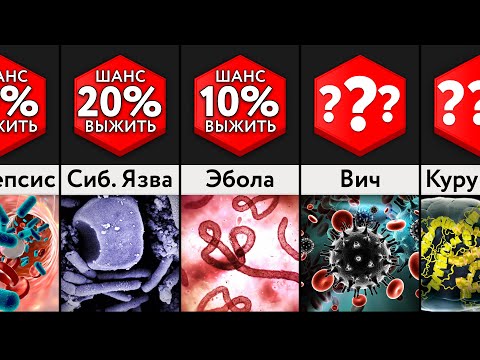 Видео: Тебе Не Выжить, Если Заболеешь Этим!