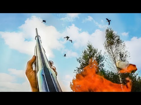 Видео: КРАСИВАЯ ОХОТА НА УТКУ С ПОДХОДА. Много утки на каналах 2020