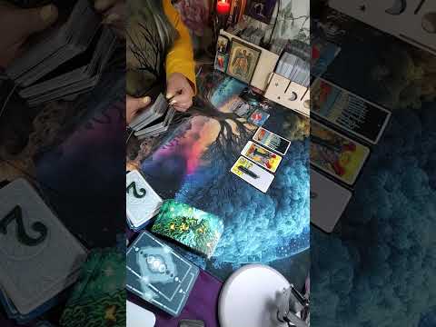 Видео: Соперница в ужасе суетится, наказания боится?