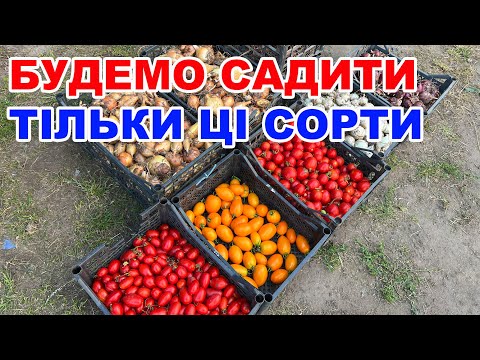 Видео: Висновки по городніх помідорах і цибулі через розсаду