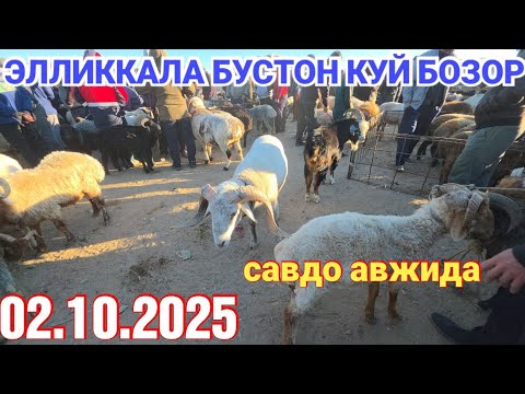 Видео: 2 октября 2025 ЭЛЛИККАЛА БУСТОН КУЙ БОЗОР САВДО АВЖИДА
