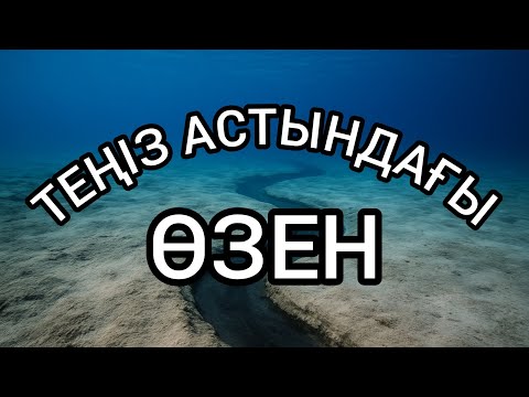 Видео: Теңіз астындағы өзен😱 #факт #facts #теңіз 