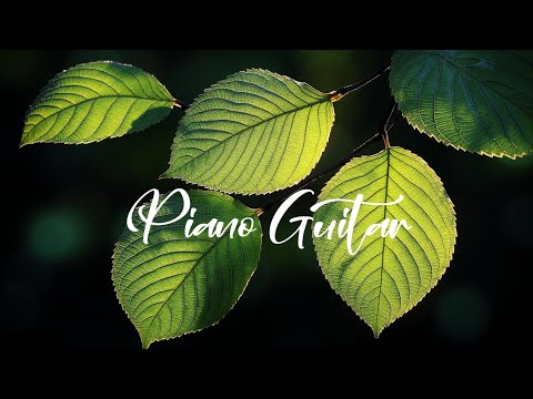 Видео: Расслабляющая Инструментальная Музыка для Учебы, Фокуса и Релакса