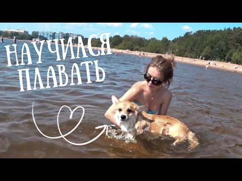 Видео: 🐶Первый раз на море С СОБАКОЙ! ВЕЛЬШ КОРГИ❤️️