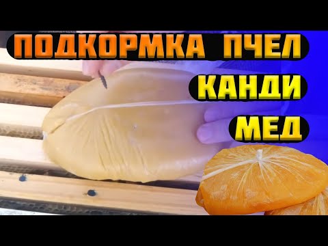 Видео: Зимняя подкормка пчел. Подкормка пчел зимой Канди или Мед