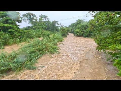Видео: «Сильный шторм обрушился на Ямайку — последние новости 🌪️🇯🇲»JamaicaStorm#StormUpdate#HurricaneMel...