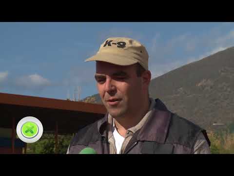 Видео: Специализирана изложба за Германско овчарско куче - Сливен  29/10/2017