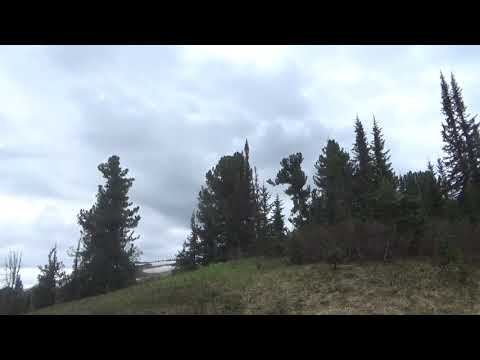 Видео: Путь от мертвого озера до верхнего Мансого, обратно к подножью горы Сивуха. Восточный Саян Июнь 2005