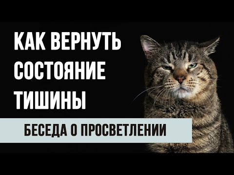 Видео: Почему теряется состояние блаженства и покоя у духовного искателя